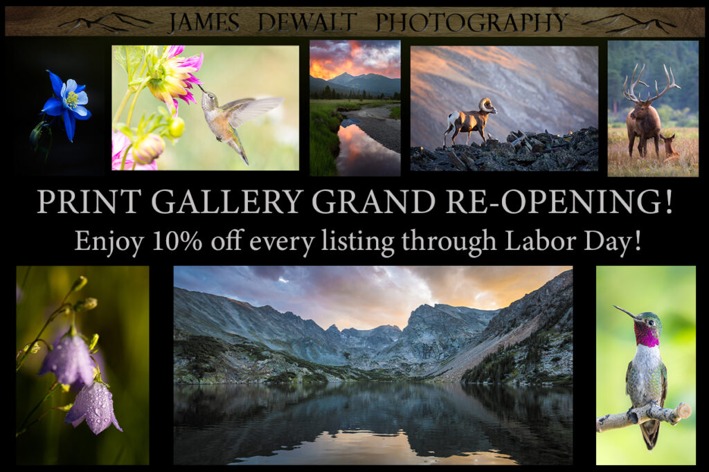 Graphic image announcing James DeWalt Photography Etsy Gallery re-opening