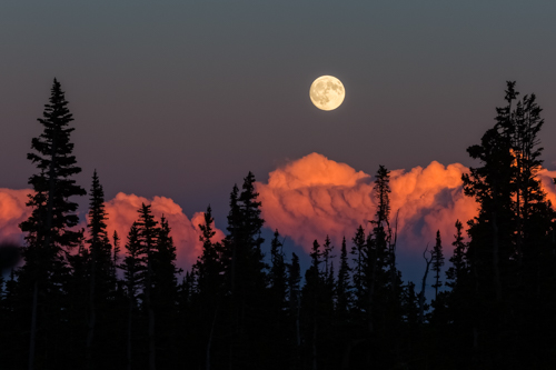 The full harvest moon rising over a forest and clouds illuminated with sunset light